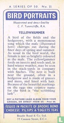 Yellowhammer - Image 2