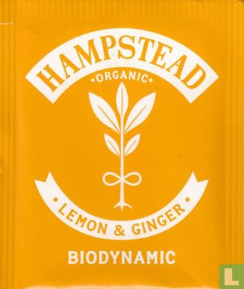 Lemon & Ginger - Afbeelding 1