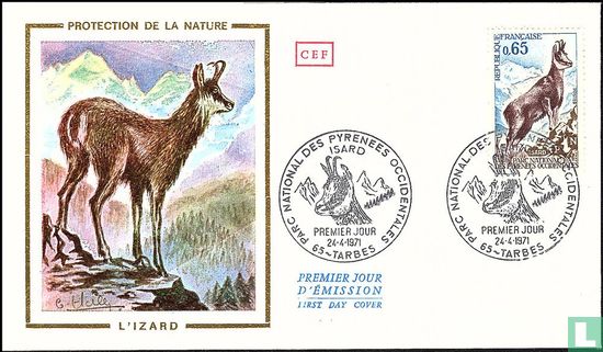 Pyrenese gems