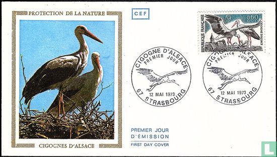 Cigognes d'Alsace
