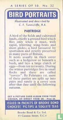 Partridge - Image 2