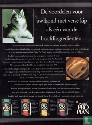 Onze hond 8 - Afbeelding 2