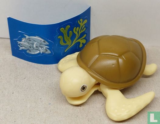 Turtle - Image 1
