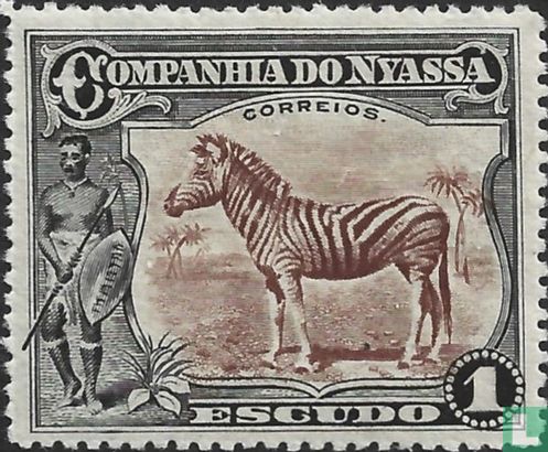Zebra