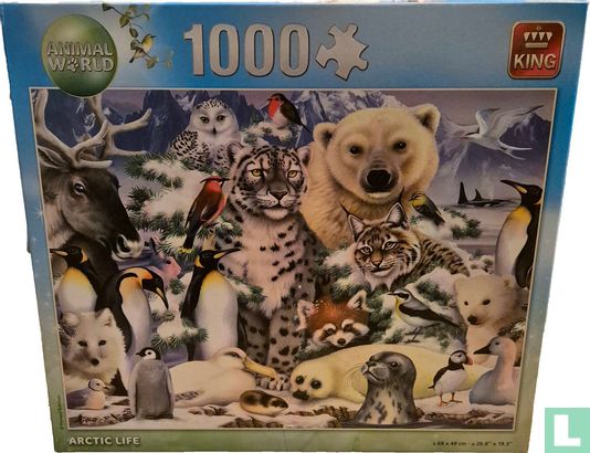 Arctic Life - Bild 1