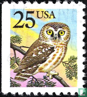 Rough-legged Owl