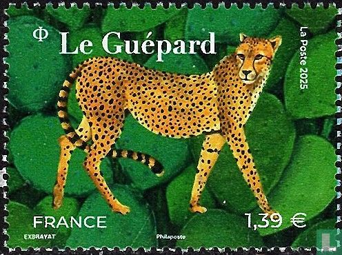 Guépard