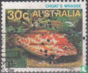 Fish - Image 1