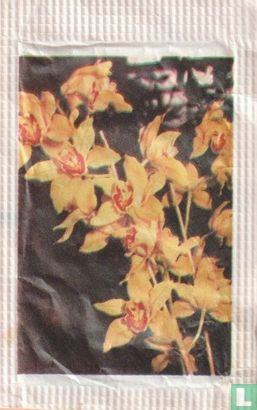 Orchideeën serie   - Image 1