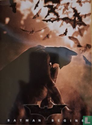 Batman Begins - Bild 6