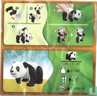 Panda - Afbeelding 3