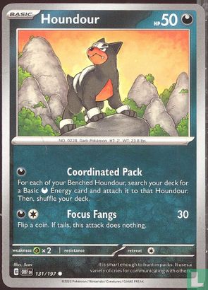 Houndour - Bild 1