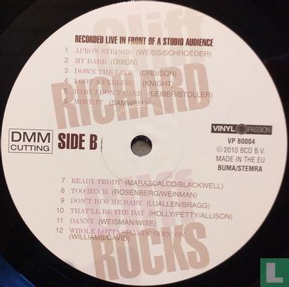 Cliff Rocks - Afbeelding 4
