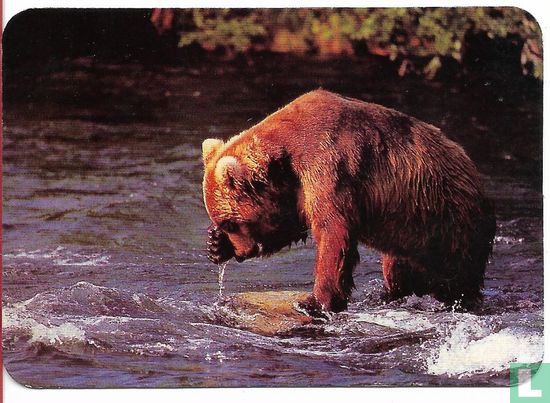 Ours - Image 1