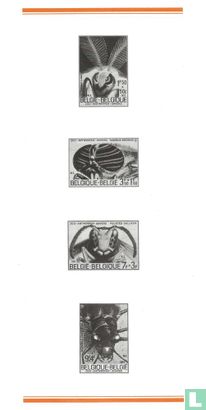 Les insectes - Image 4