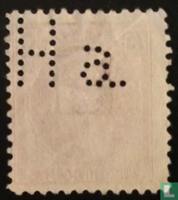 Charlotte - Image 2