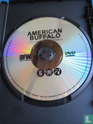 American Buffalo - Image 3