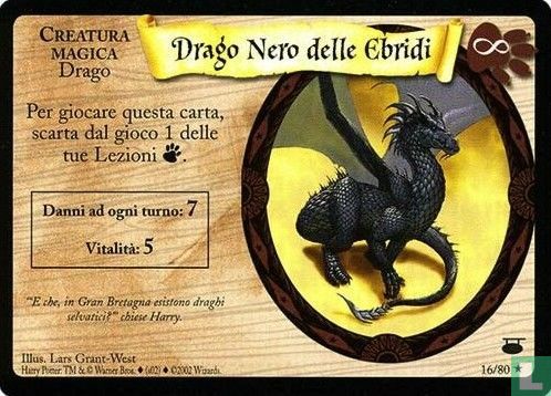 Drago Nero delle Ebridi - Image 1