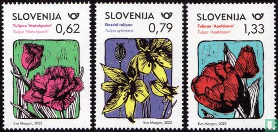 Tulips