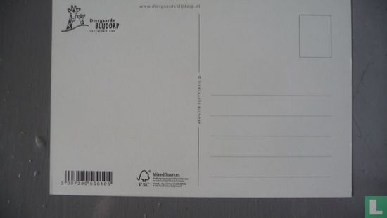 Diergaarde Blijdorp Tijger - Image 2