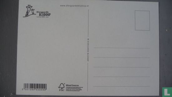 Diergaarde Blijdorp Tijgerwelp - Image 2
