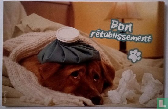 Bon rétablissement. - Image 1