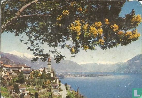 Alfonso Weine - Bild 1