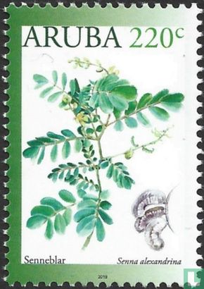 Plantes médicinales