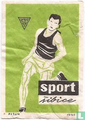 "hardlopen"