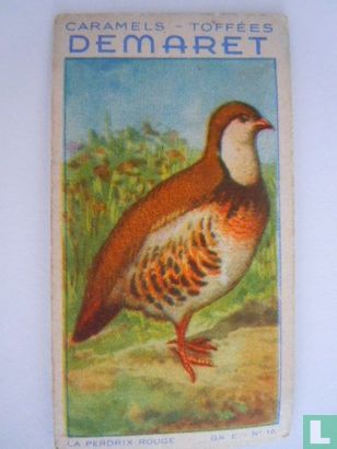 De roode patrijs - Bild 1
