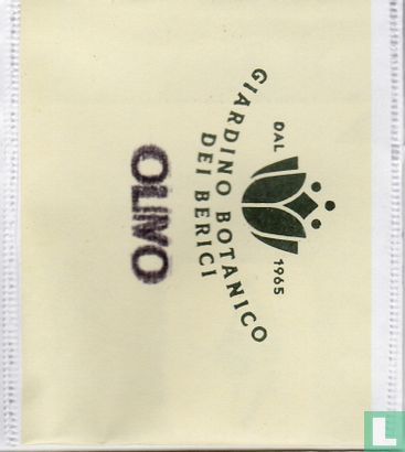Olivo - Afbeelding 1