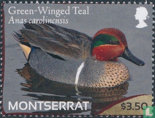 Ducks