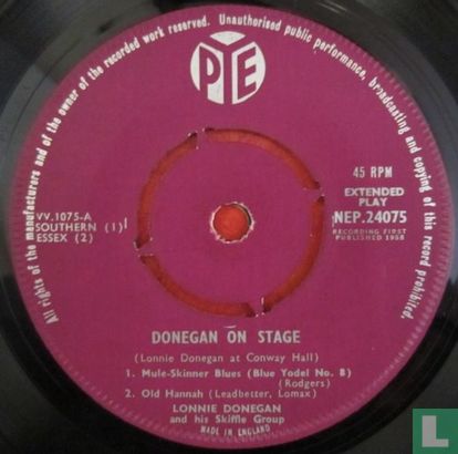 Donegan on Stage - Image 3