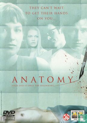 Anatomy - Image 1