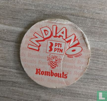 Indiaan - Afbeelding 2