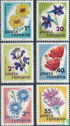 Fleurs