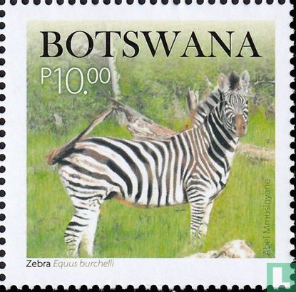 Zebra's - Afbeelding 1