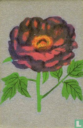 Bloemen