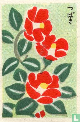 Bloemen