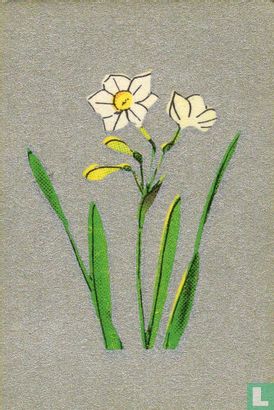 Bloemen