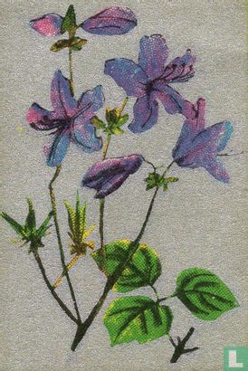 Bloemen