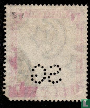 Kamelreiter - Bild 2