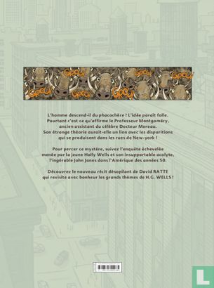 Phacochères - Bild 2