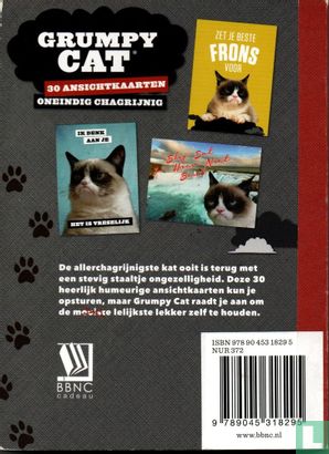 Grumpy Cat - Afbeelding 2