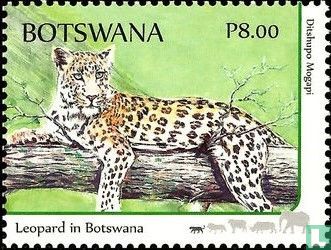 The Big Five - Image 1