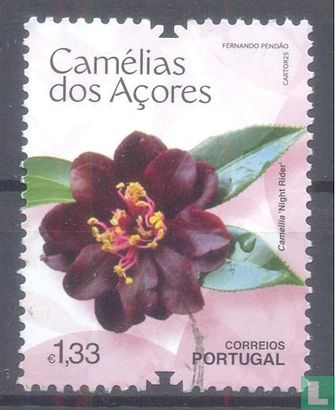 Camelia's