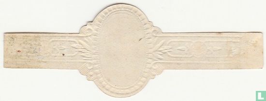 Karel de Stoute - Image 2