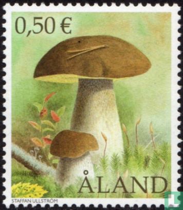 Einheimische Pilze