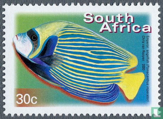 Fish