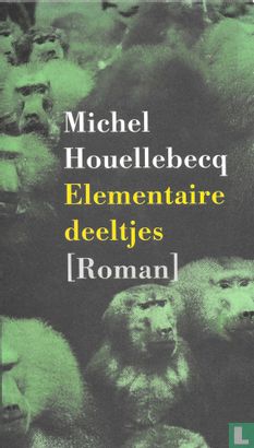 Elementaire deeltjes - Afbeelding 1